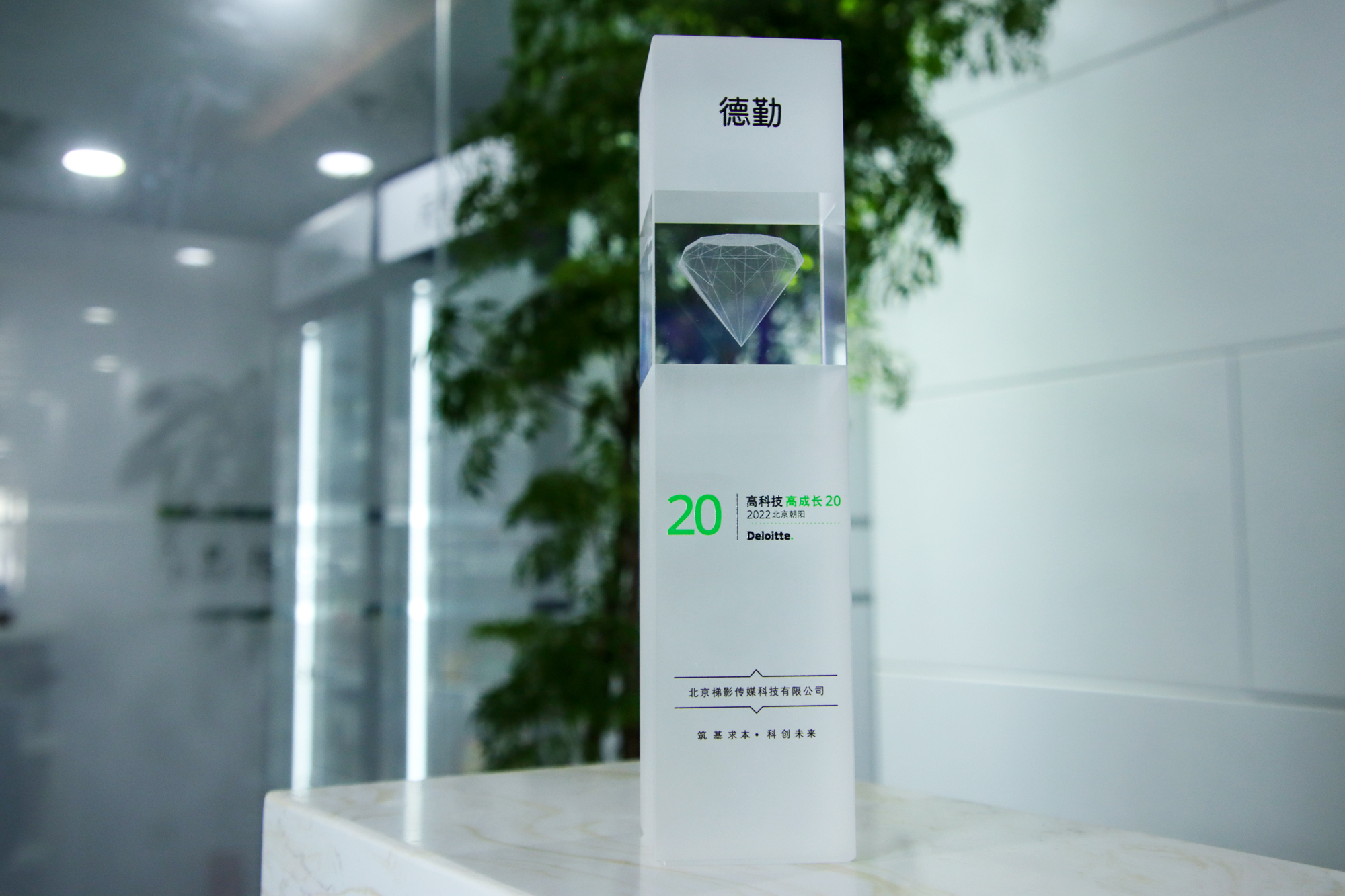 2022年度朝阳高技术高成长奖杯德勤.jpg